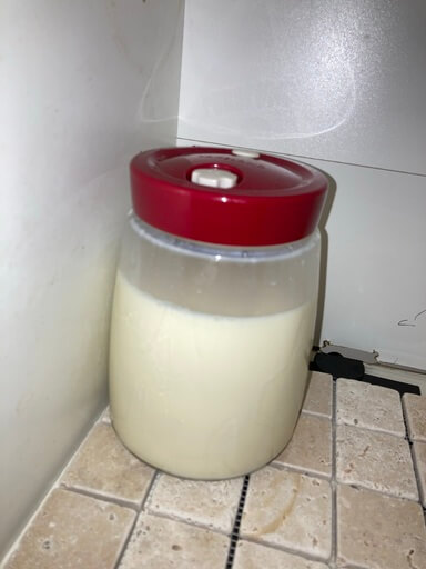 kefir jar in fermentation cupboard (28K).